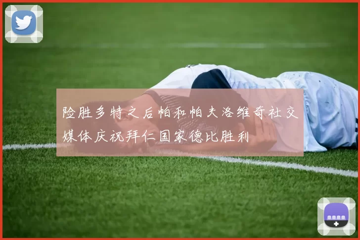 险胜多特之后帕和帕夫洛维奇社交媒体庆祝拜仁国家德比胜利